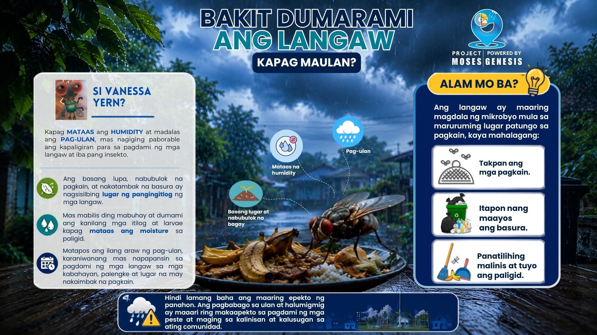 Project MOSES highlights link between rainy weather, rising fly populations, and community health
