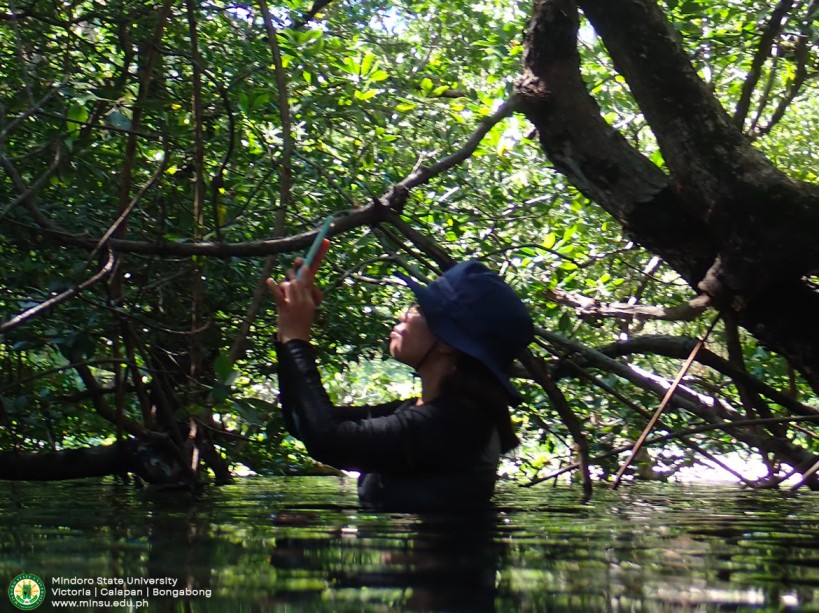 Mapping Mindoro’s Mangroves: MinSU, Wetlands International Collaborate for BakaJuan Project