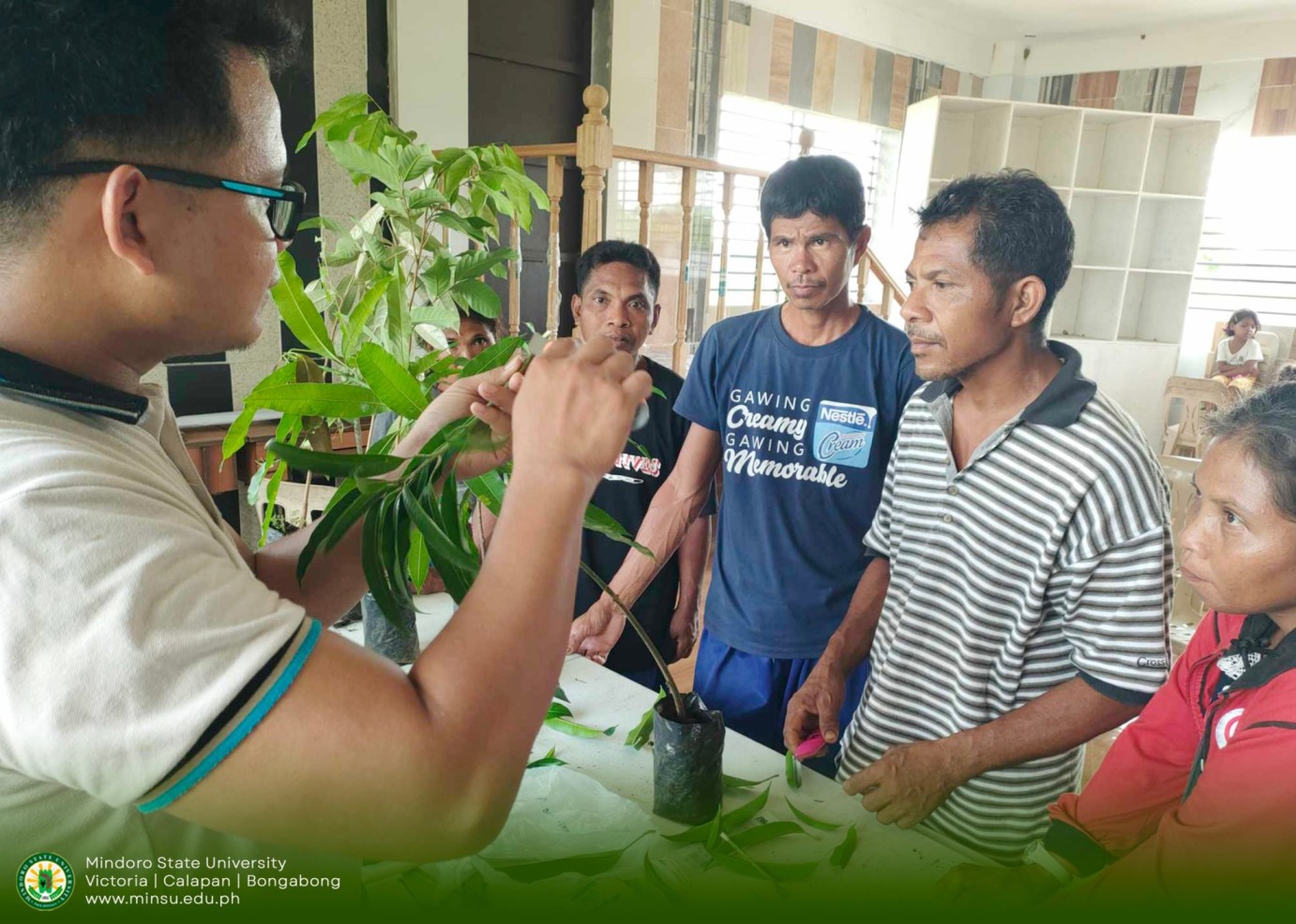 Mangyan Farmers trained in plant propagation techniques
