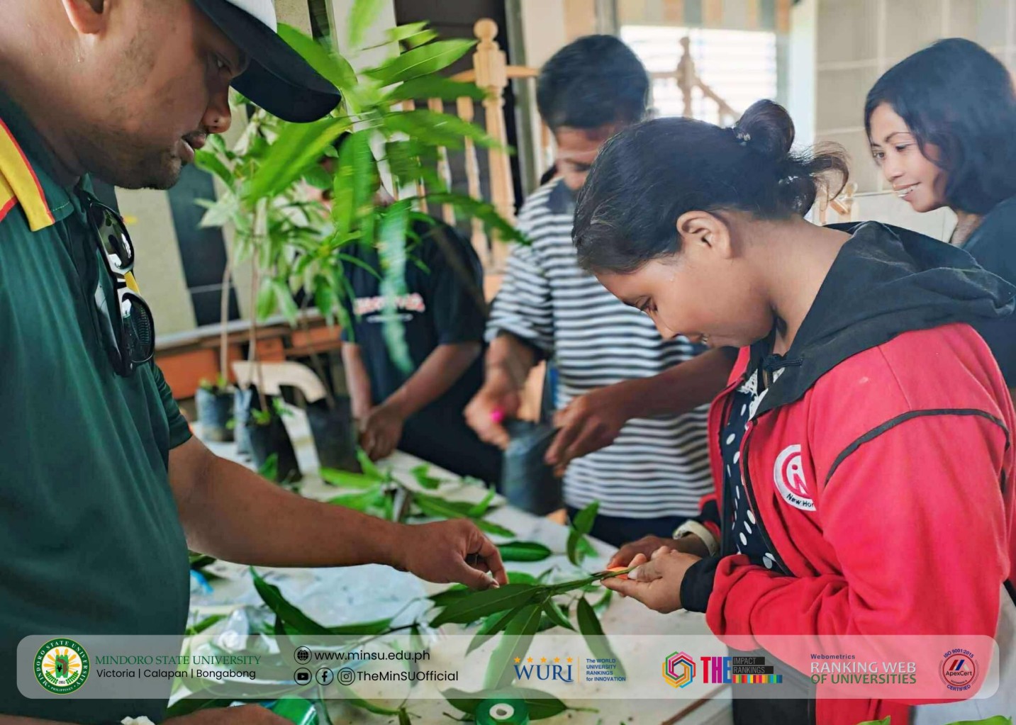 MinSU empowers Mangyan communities through training on plant propagation techniques